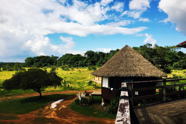 Rupununi Explorer: Multi-Day Tour