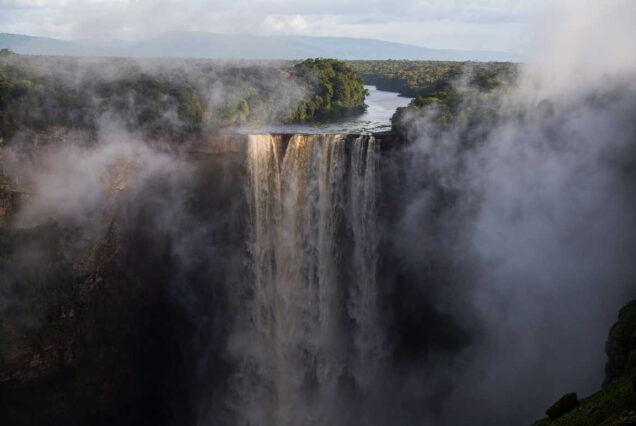 Rainforest & Wildlife Tour